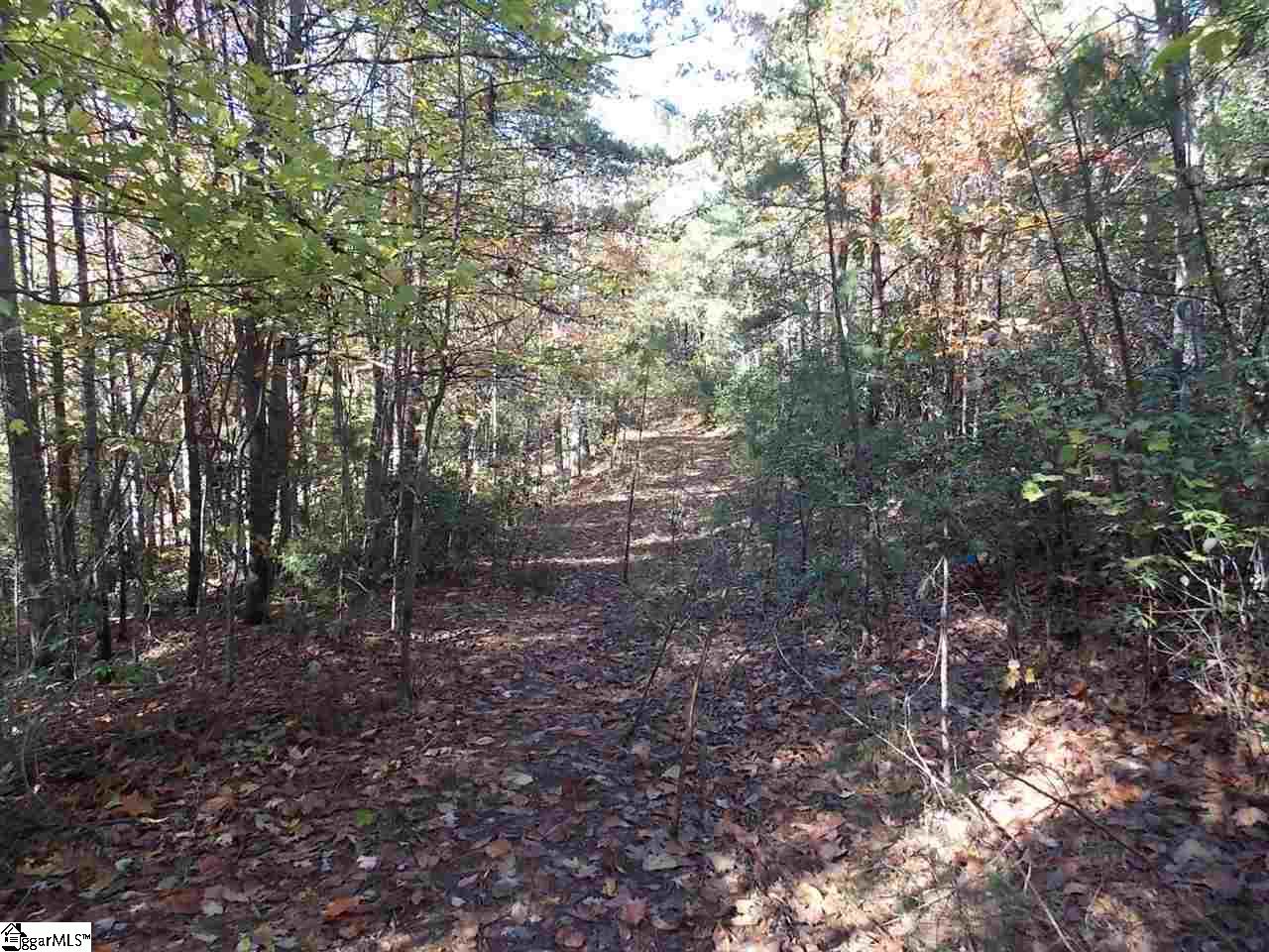 0 Raven Cliff Road Cleveland, SC 29635 - Photo 2 of 8 Gallery Image 2