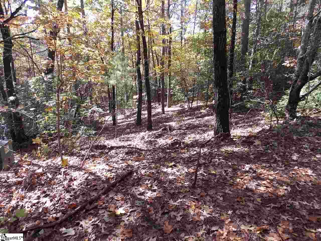 0 Raven Cliff Road Cleveland, SC 29635 - Photo 3 of 8 Gallery Image 3