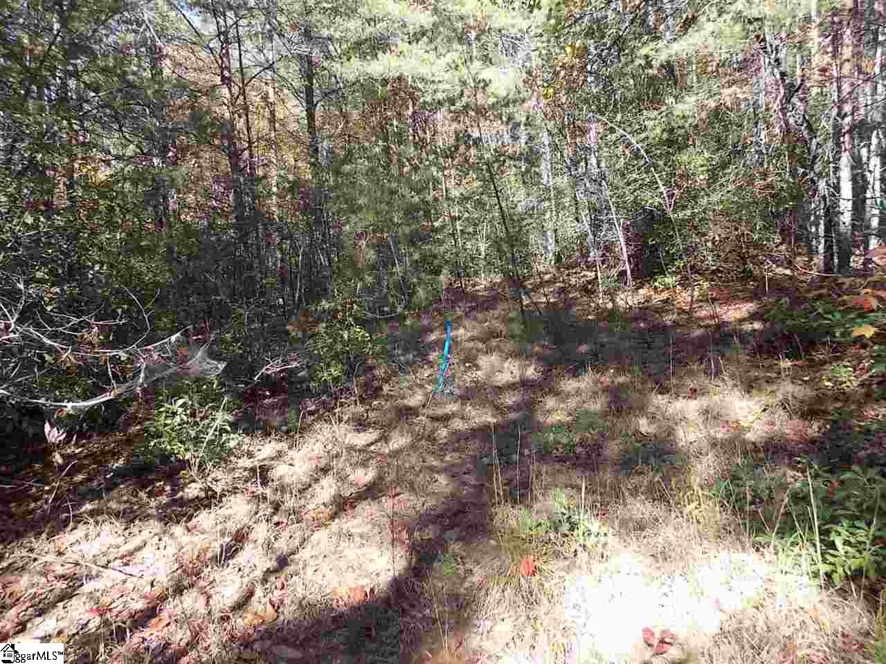 0 Raven Cliff Road Cleveland, SC 29635 - Photo 5 of 8 Gallery Image 5