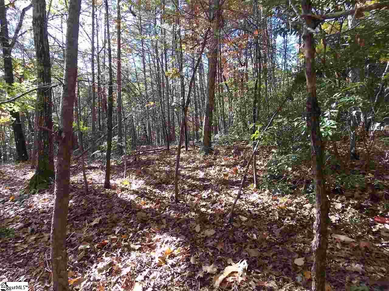 0 Raven Cliff Road Cleveland, SC 29635 - Photo 6 of 8 Gallery Image 6