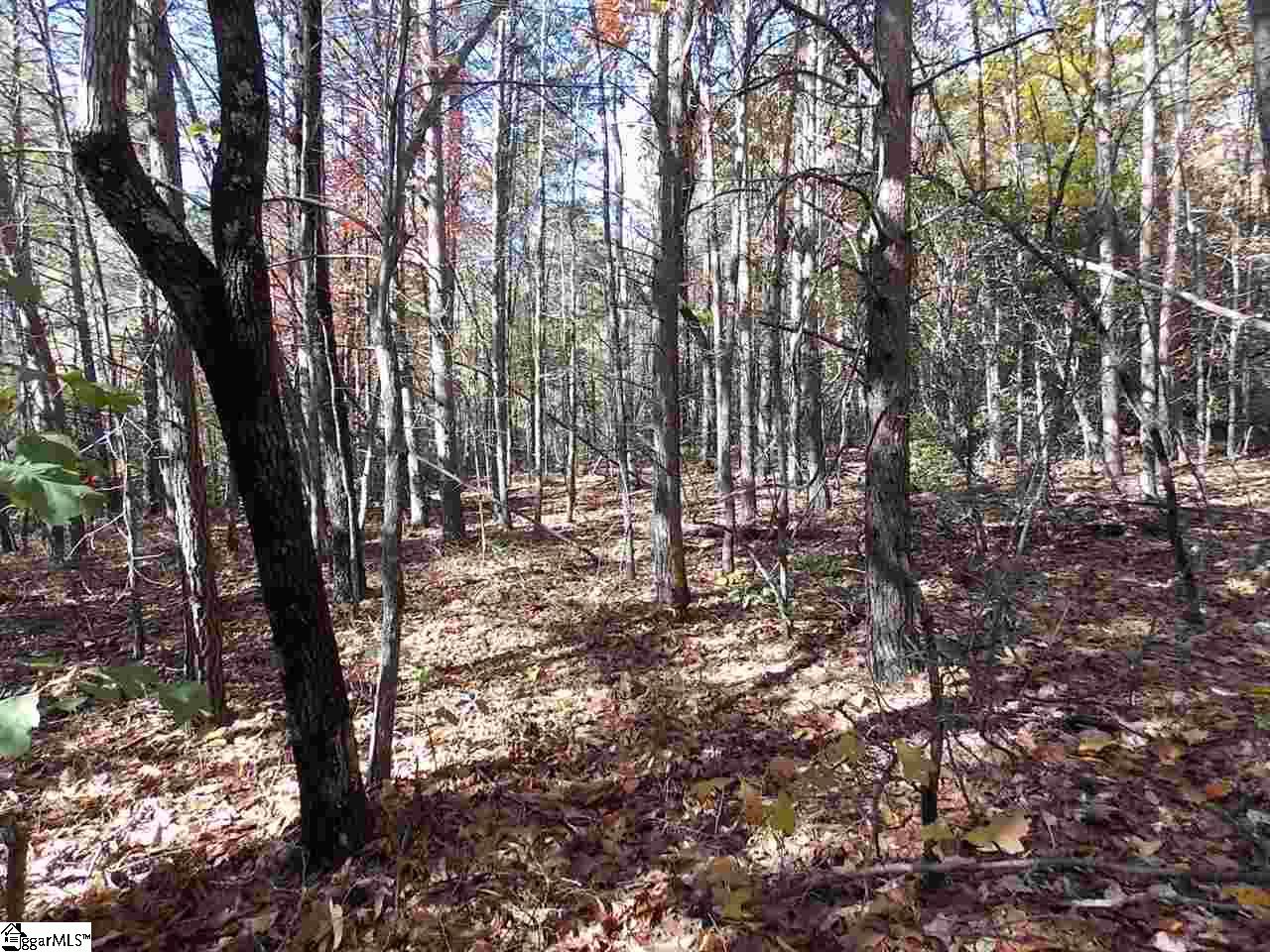 0 Raven Cliff Road Cleveland, SC 29635 - Photo 8 of 8 Gallery Image 8
