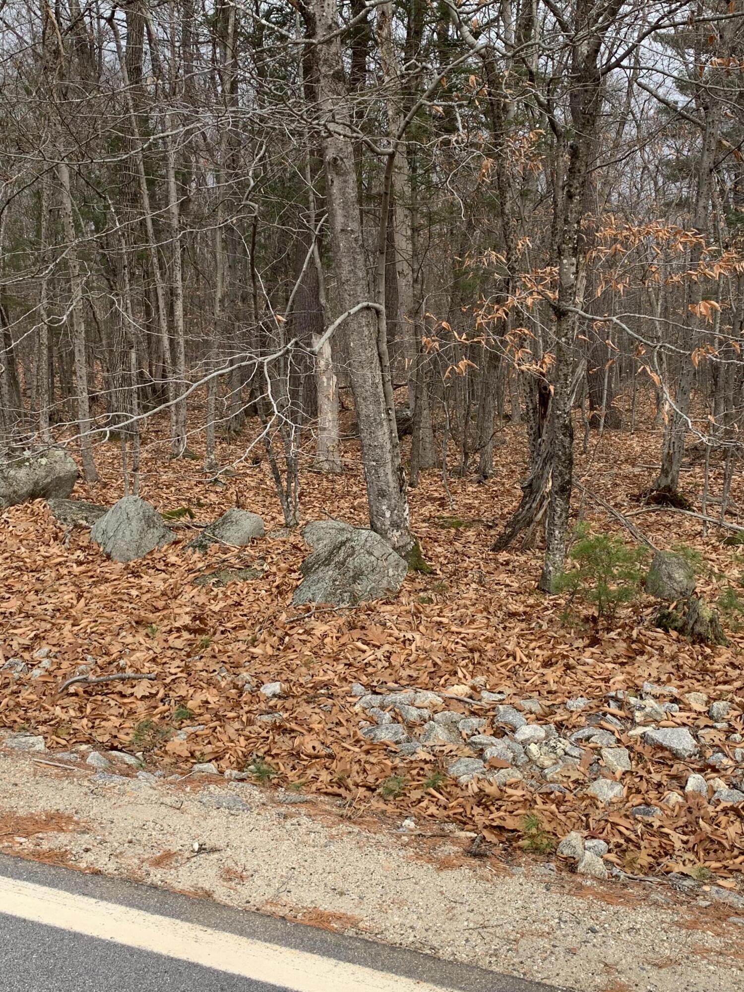 Lot 9 Sweden Road Bridgton, ME 04009 - Photo 1 of 2 IMG_5995