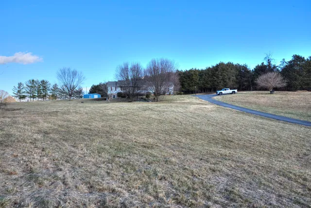 a view of a rural road with plants