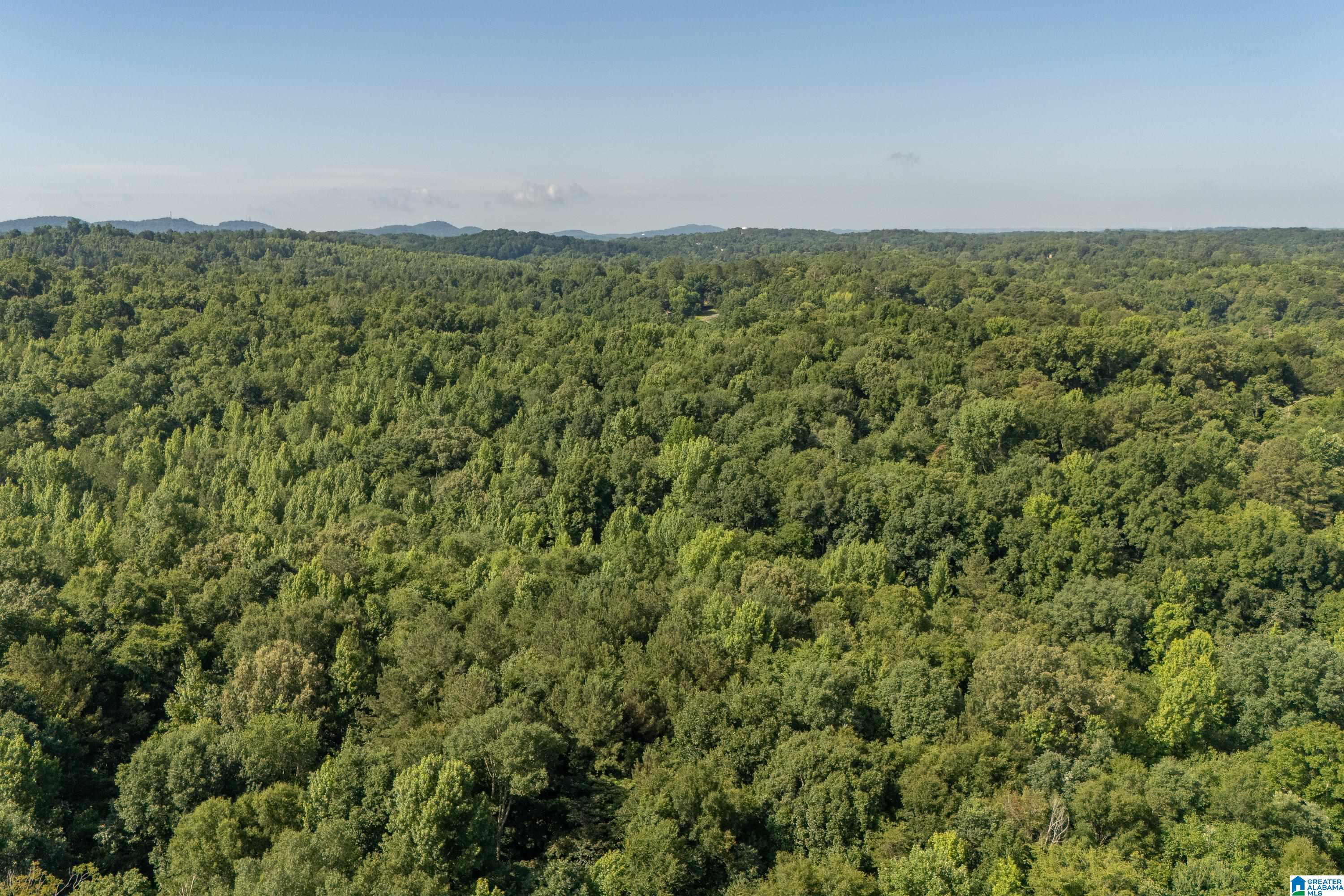 4861 Grist Mill Road, Unit 1 Pinson, AL 35126 - Photo 7 of 12