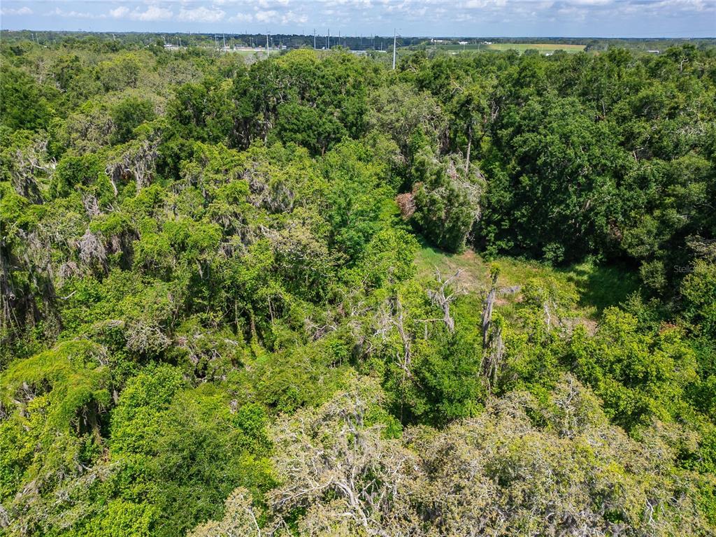 9512 Harney Road Thonotosassa, FL 33592 - Photo 33 of 34