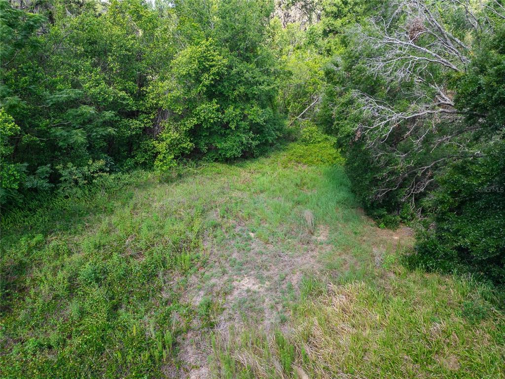 9512 Harney Road Thonotosassa, FL 33592 - Photo 34 of 34