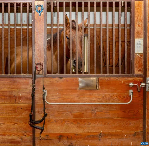 a view of a lake with a yard