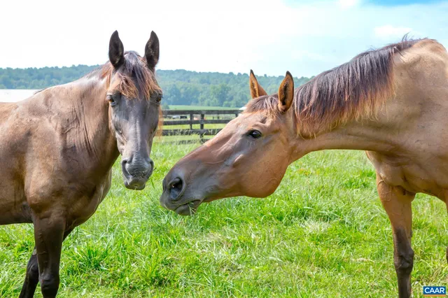 $6,250,000 | 9313 Greenfield Farm, Scottsville, VA 24590