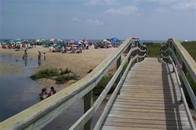 9 Shady Lane Chatham, MA 02633 - Photo 17 of 19 a view of a balcony with many potted plants