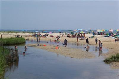 9 Shady Lane Chatham, MA 02633 - Photo 18 of 19