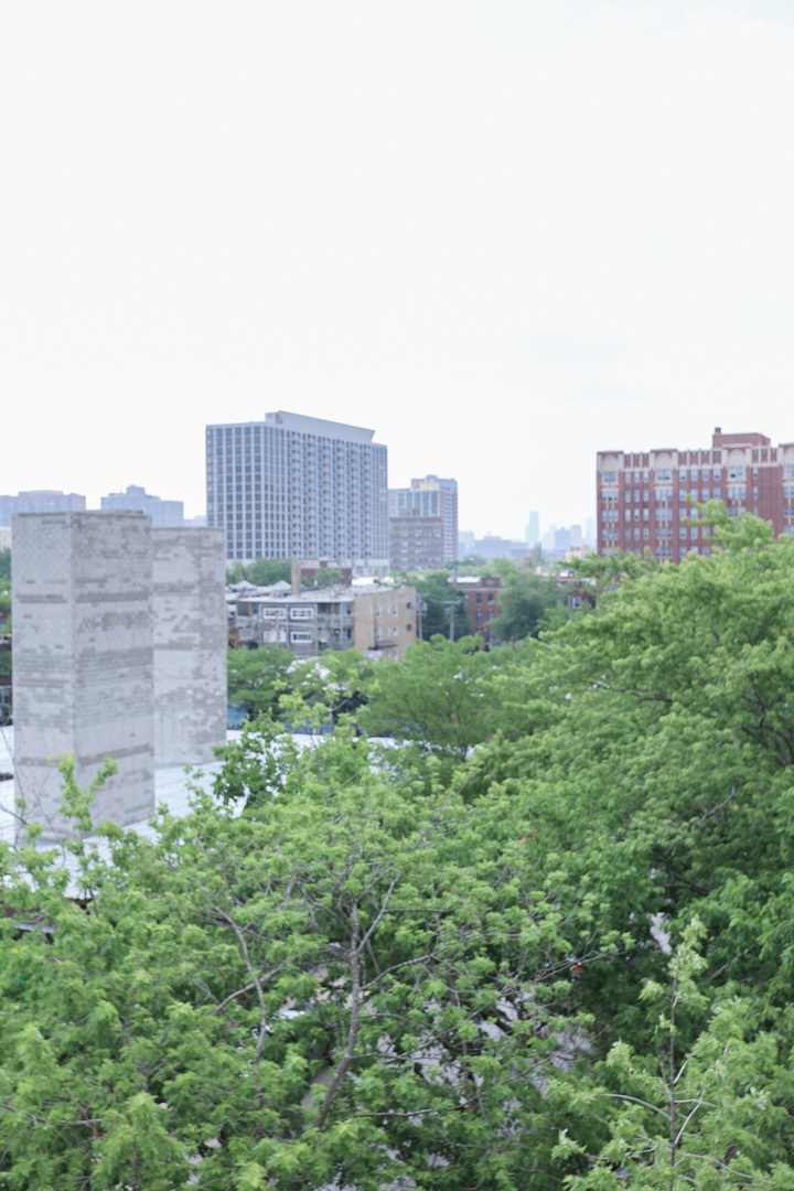4526 North Sheridan Road, Unit 303 Chicago, IL 60640 - Photo 7 of 14 a view of a city