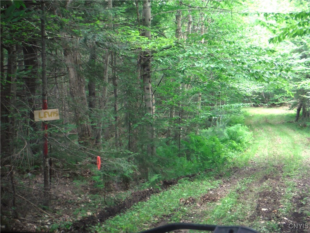 0 Barnes Road Port Leyden, NY 13433 - Photo 11 of 20 Marker