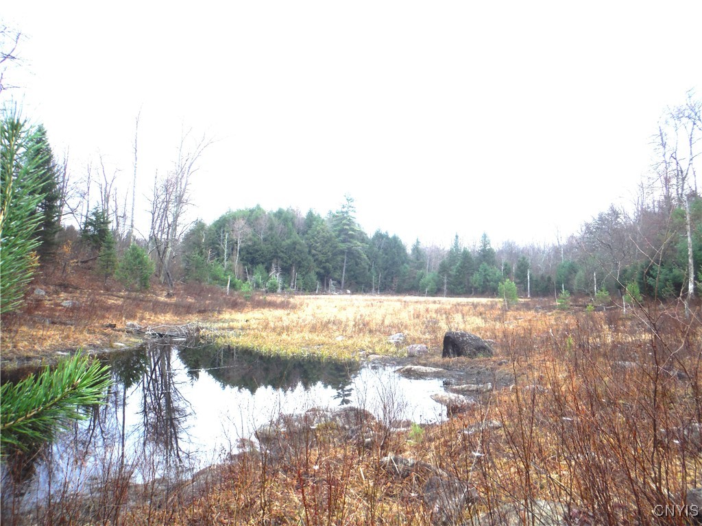 0 Barnes Road Port Leyden, NY 13433 - Photo 12 of 20 Beaver pond