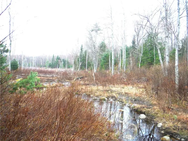 $973,000 | 0 Barnes Road, Port Leyden, NY 13433