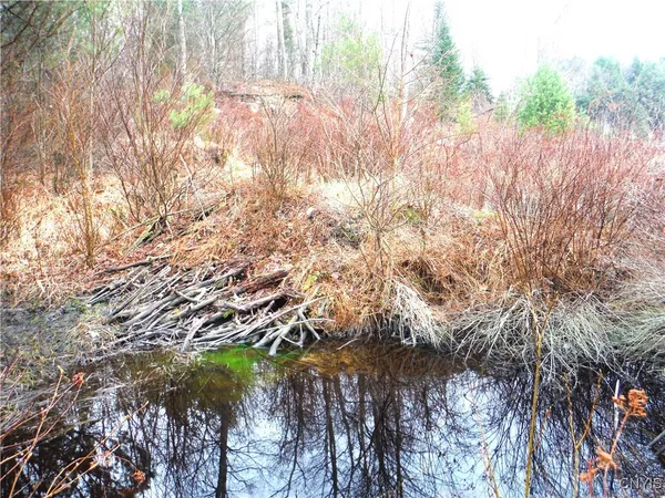 $973,000 | 0 Barnes Road, Port Leyden, NY 13433