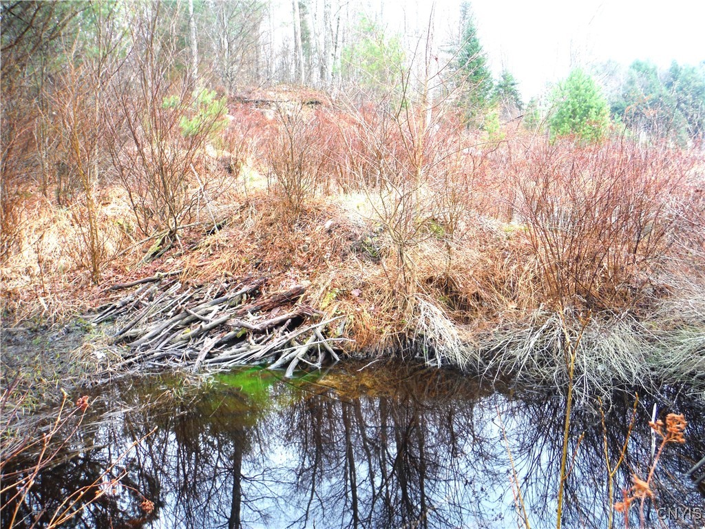 0 Barnes Road Port Leyden, NY 13433 - Photo 14 of 20