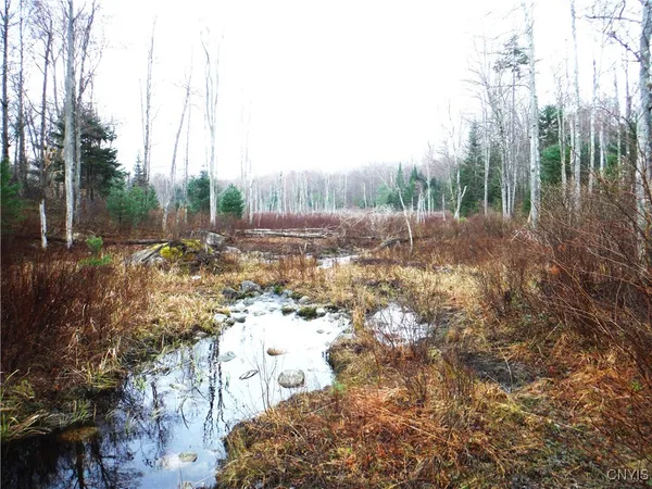 $973,000 | 0 Barnes Road, Port Leyden, NY 13433