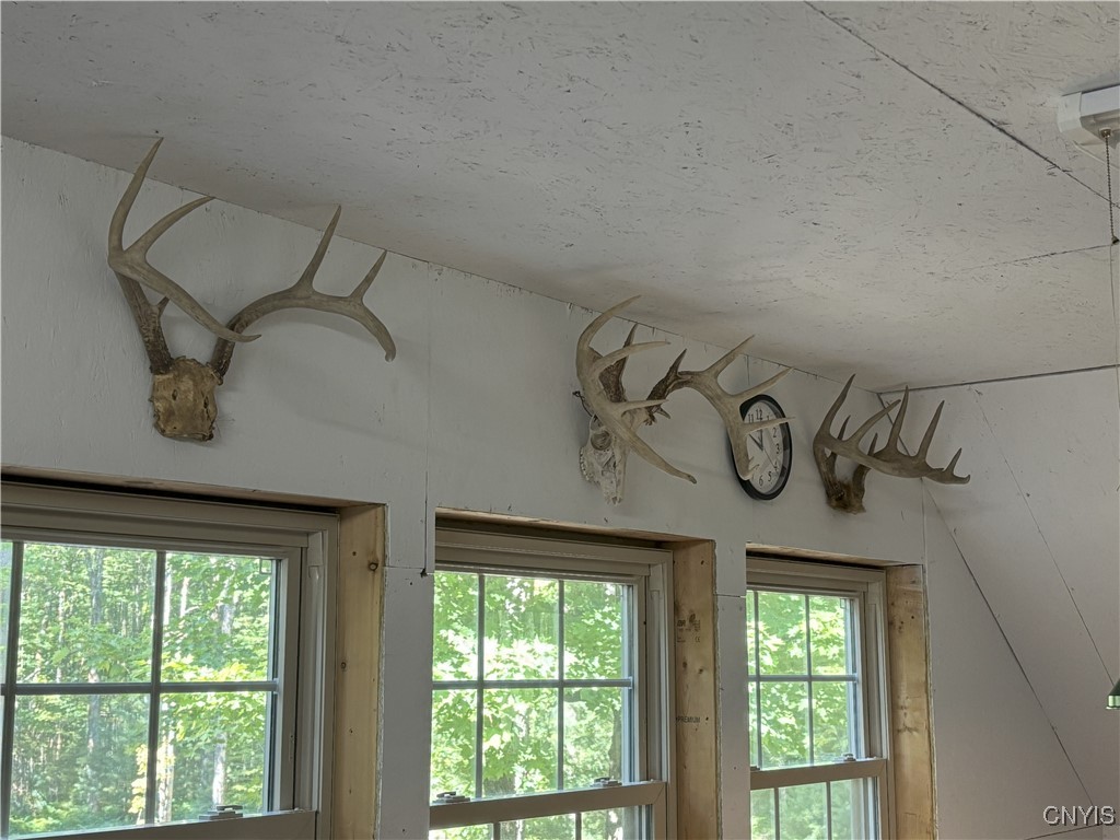 0 Barnes Road Port Leyden, NY 13433 - Photo 16 of 20 Antlers