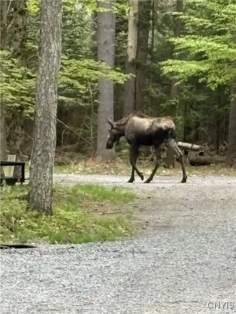 $973,000 | 0 Barnes Road, Port Leyden, NY 13433