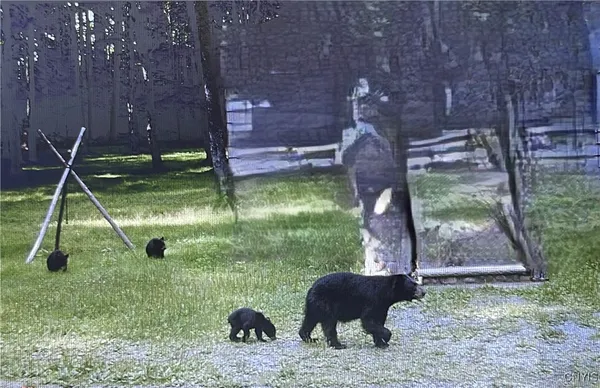 $973,000 | 0 Barnes Road, Port Leyden, NY 13433