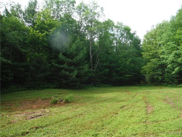 $973,000 | 0 Barnes Road, Port Leyden, NY 13433