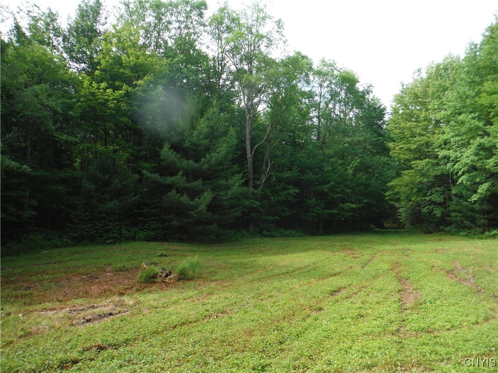 0 Barnes Road Port Leyden, NY 13433 - Photo 2 of 20 The Potato Hole