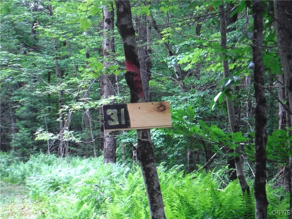 $973,000 | 0 Barnes Road, Port Leyden, NY 13433