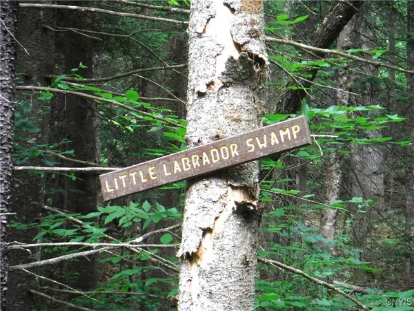 $973,000 | 0 Barnes Road, Port Leyden, NY 13433