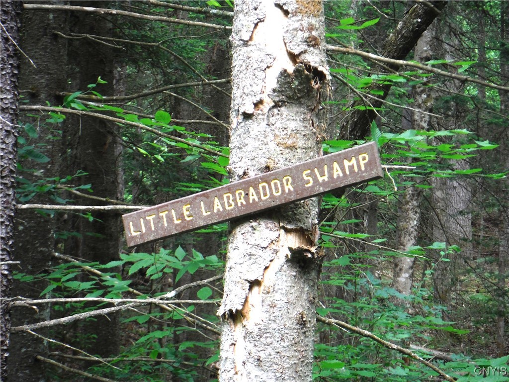 0 Barnes Road Port Leyden, NY 13433 - Photo 5 of 20 Sign