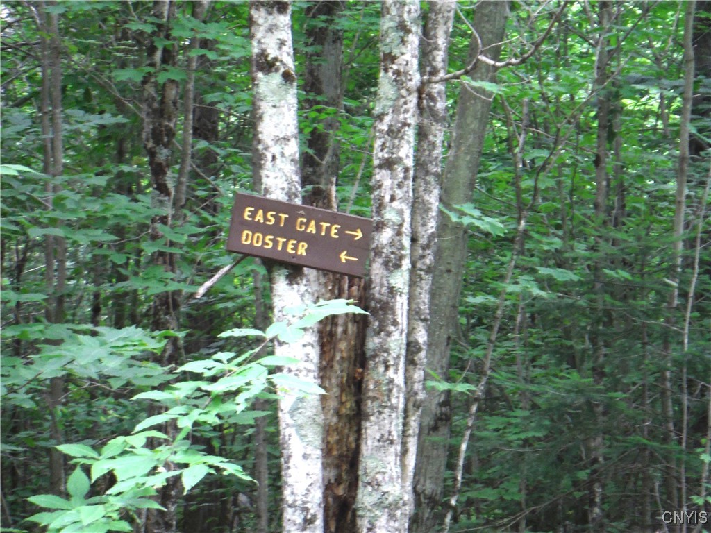 0 Barnes Road Port Leyden, NY 13433 - Photo 6 of 20 Signs