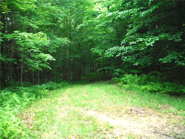 $973,000 | 0 Barnes Road, Port Leyden, NY 13433