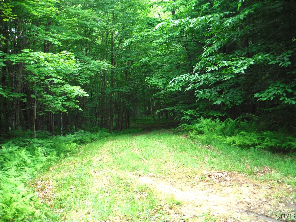 0 Barnes Road Port Leyden, NY 13433 - Photo 7 of 20