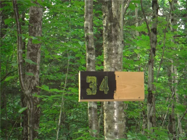 $973,000 | 0 Barnes Road, Port Leyden, NY 13433