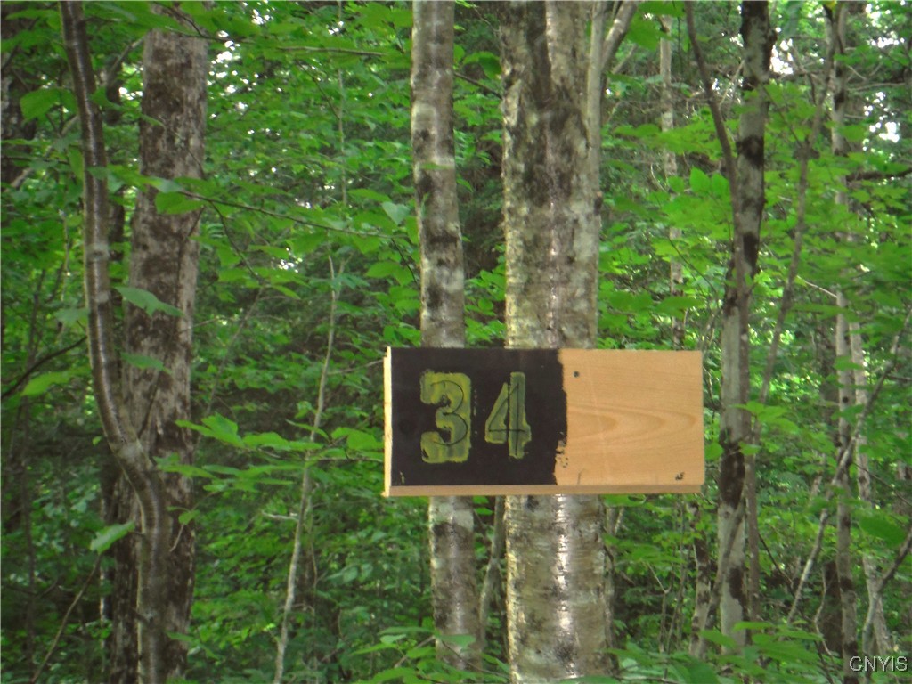 0 Barnes Road Port Leyden, NY 13433 - Photo 8 of 20 Marker 34