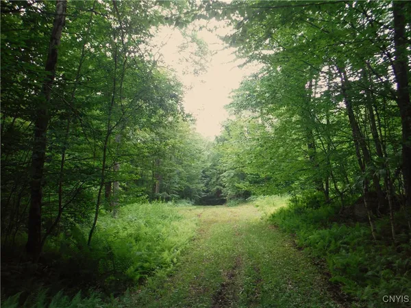 $973,000 | 0 Barnes Road, Port Leyden, NY 13433