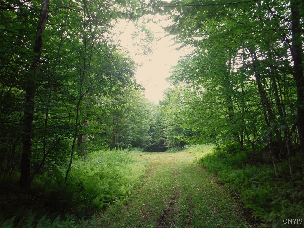 0 Barnes Road Port Leyden, NY 13433 - Photo 9 of 20