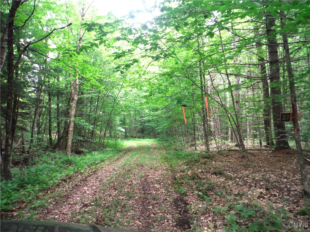 0 Barnes Road Port Leyden, NY 13433 - Photo 10 of 20