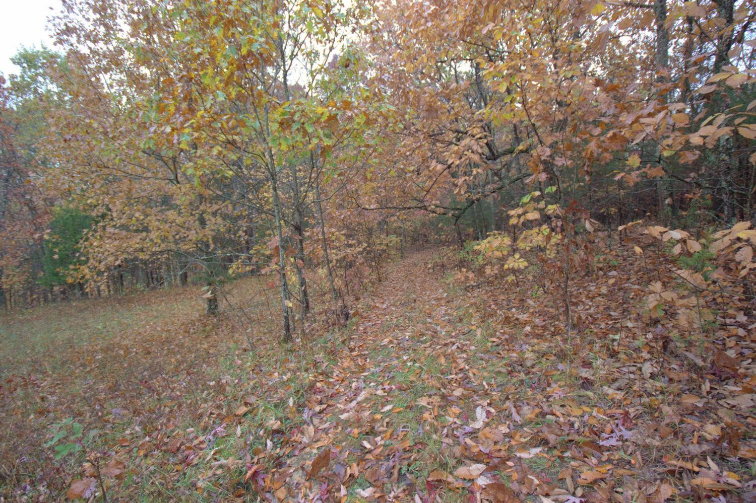 2990 Baker Williams Road Corinth, KY 41010 - Photo 20 of 25 Gallery Image 20