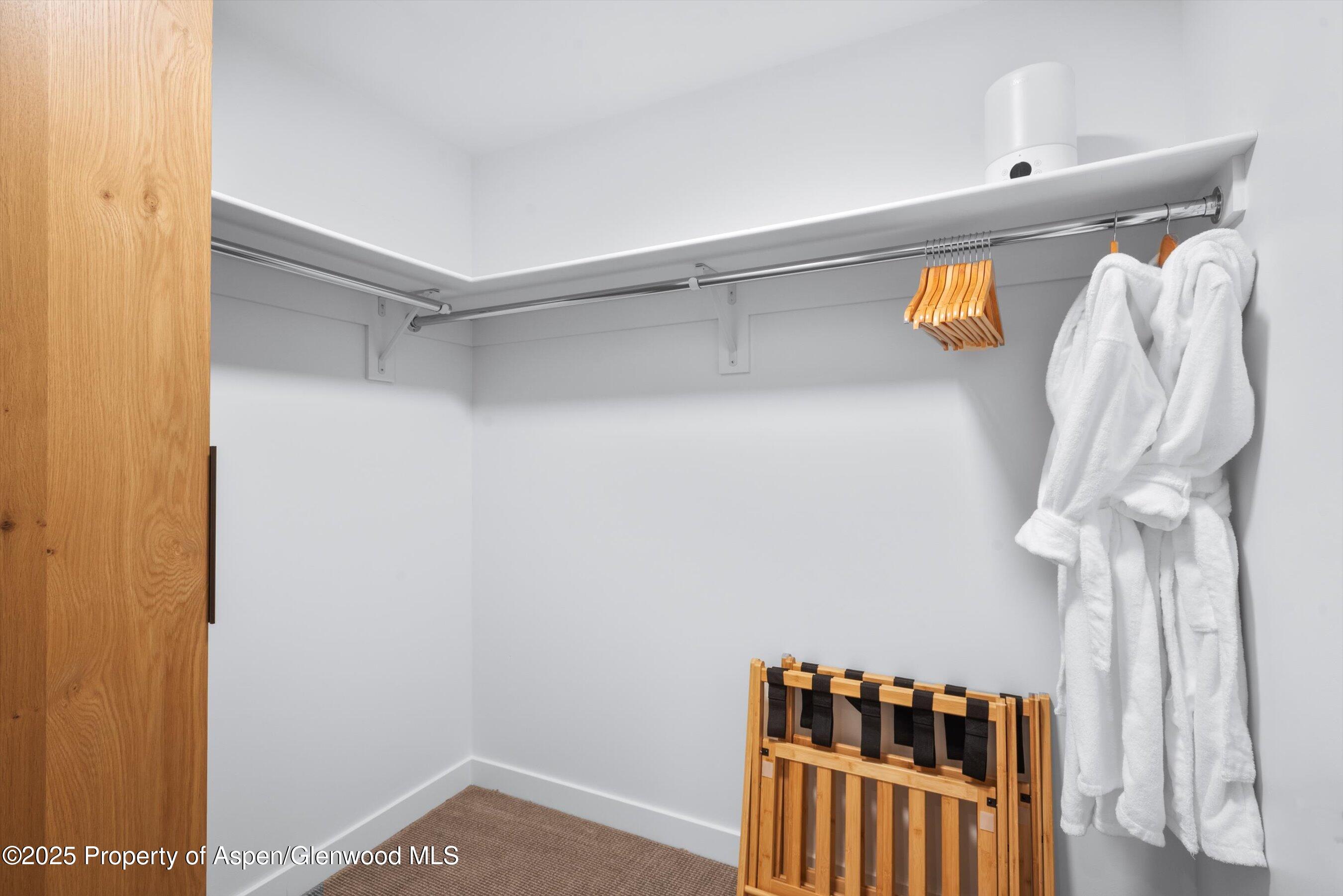 119 Wood Road, Unit 101 Snowmass Village, CO 81615 - Photo 18 of 34 a view of walk in closet with clothes and shoes