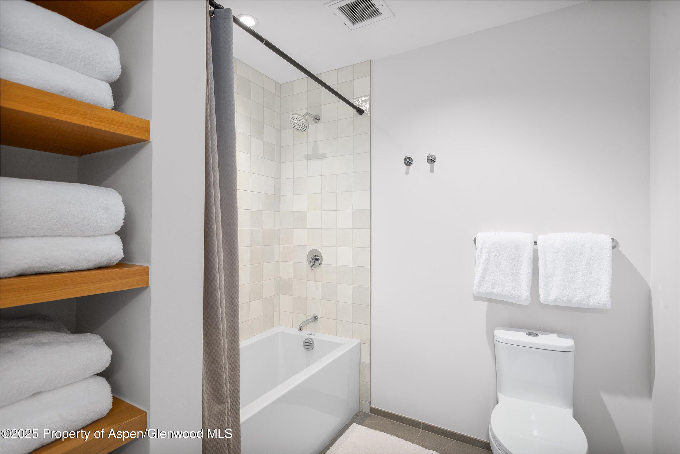 119 Wood Road, Unit 101 Snowmass Village, CO 81615 - Photo 21 of 34 a bathroom with a toilet and a bathtub