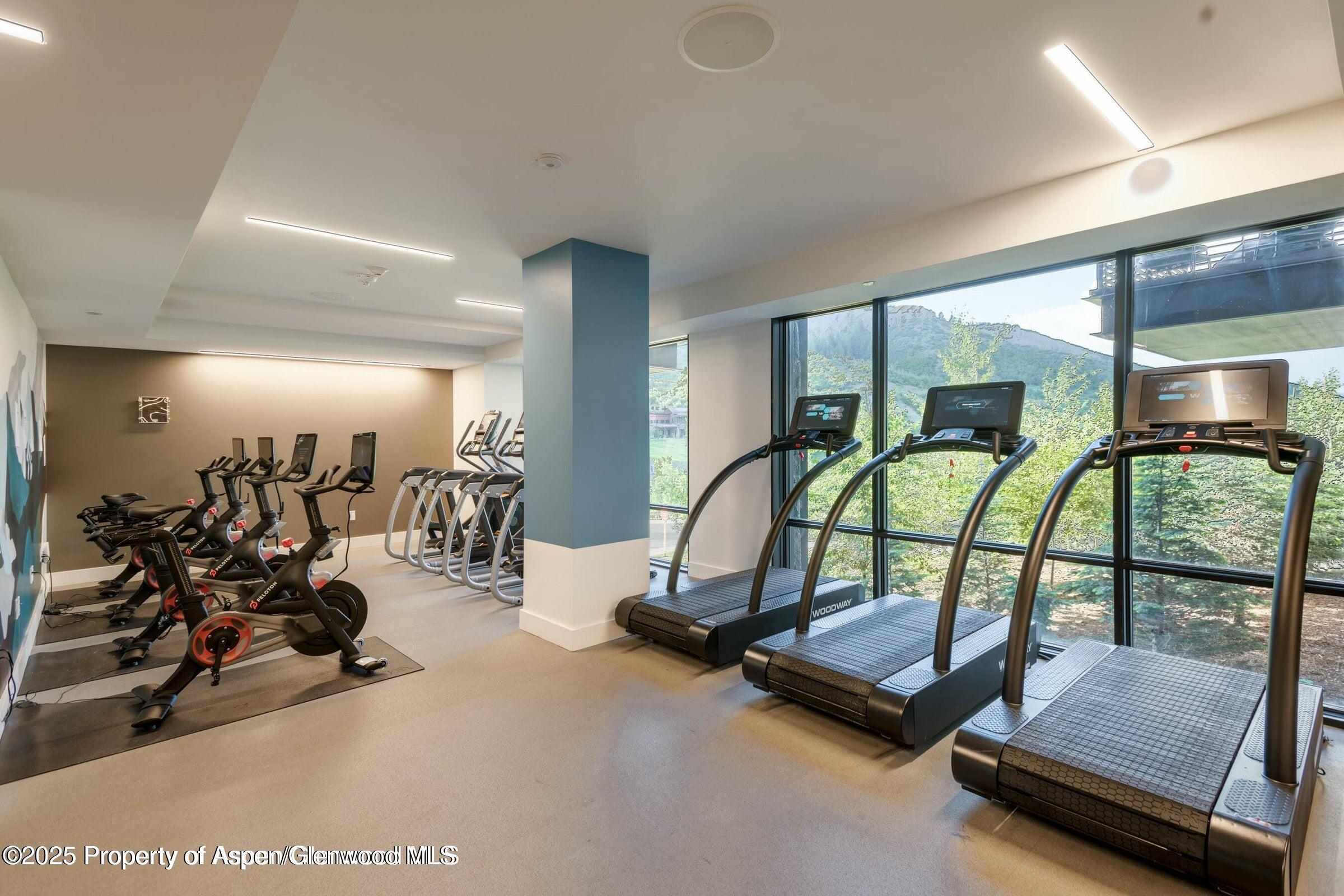 119 Wood Road, Unit 101 Snowmass Village, CO 81615 - Photo 28 of 34 a view of a room with gym equipment