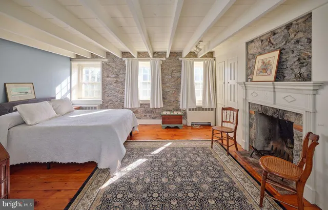 a view of park with large trees