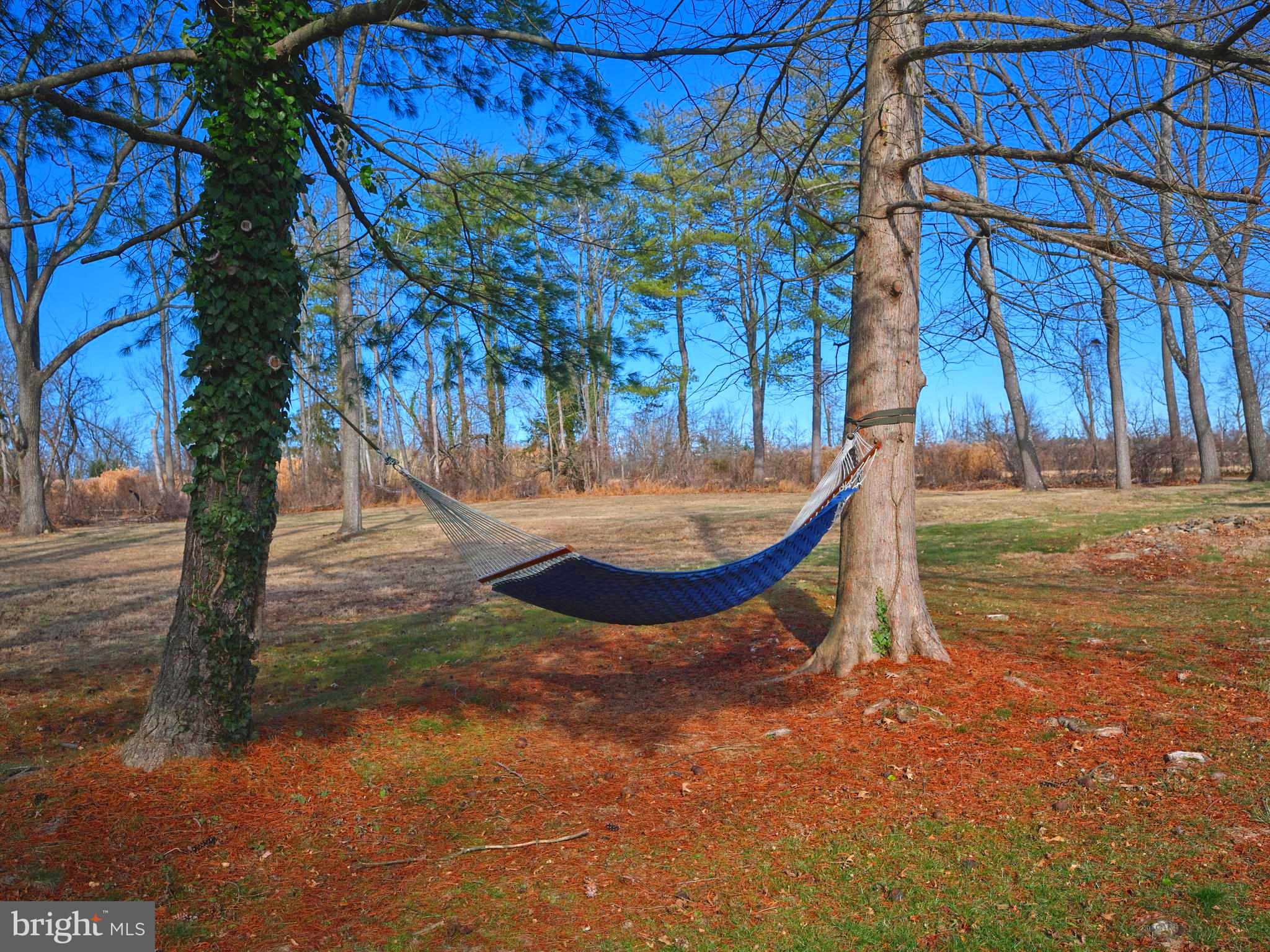 4936 Curly Hill Road Doylestown, PA 18902 - Photo 98 of 102