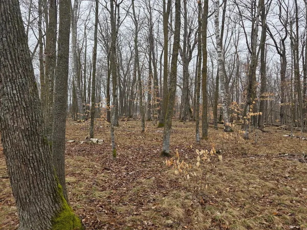 $210,000 | Tbd Tbd Xxx, Longville, MN 56655