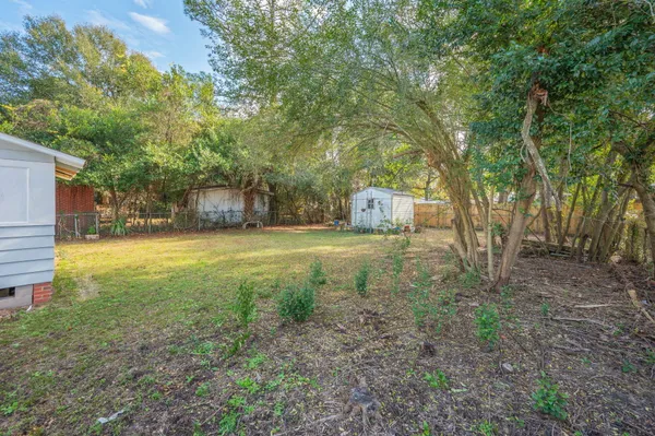 a view of a outdoor space with a tree