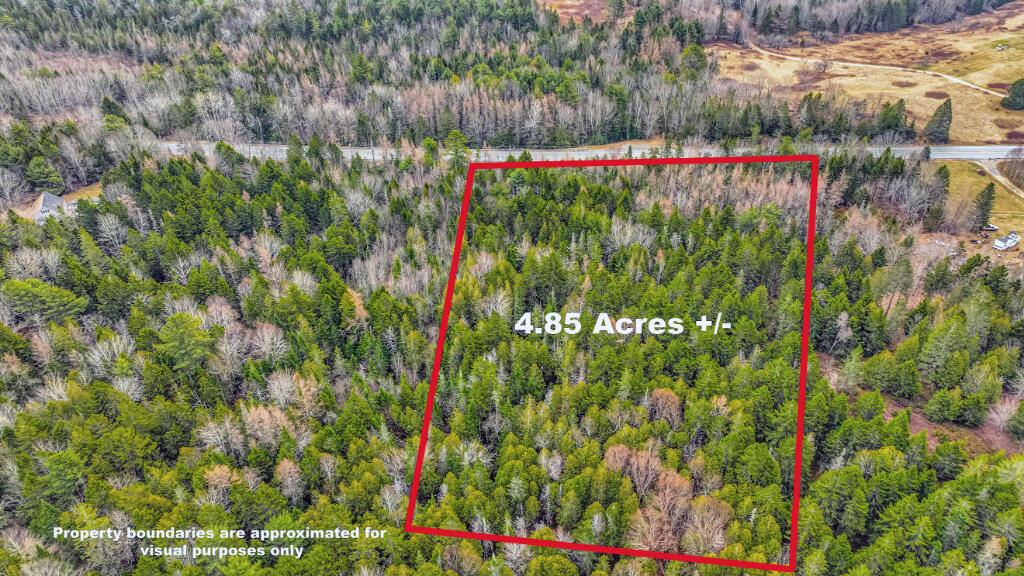 0 Swamp Road Gouldsboro, ME 04607 - Photo 2 of 7 01