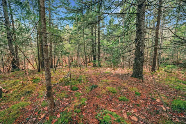 $34,000 | 0 Swamp Road, Gouldsboro, ME 04607