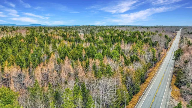 $34,000 | 0 Swamp Road, Gouldsboro, ME 04607