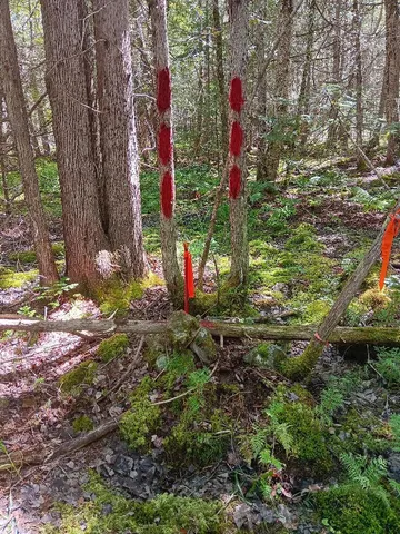 $34,000 | 0 Swamp Road, Gouldsboro, ME 04607