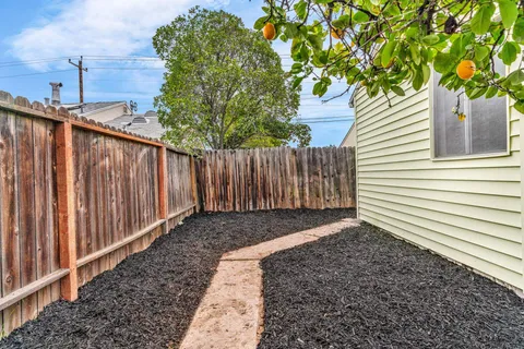 a view of a backyard with a tree